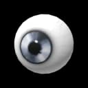 Platinum Eye